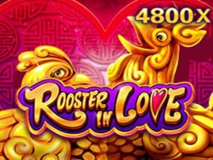 Rooster In Love